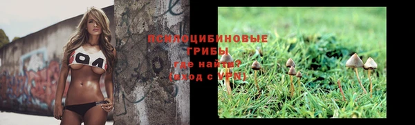 гидра Абаза