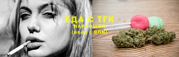 гидра Абаза