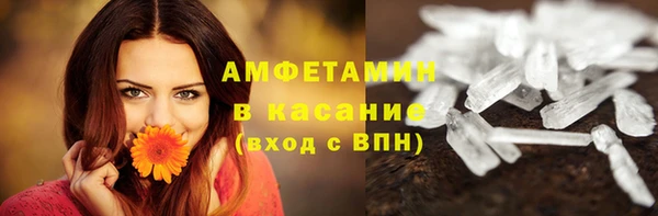 гидра Абаза
