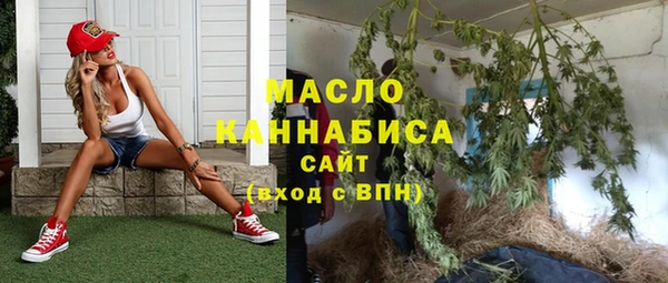 гидра Абаза