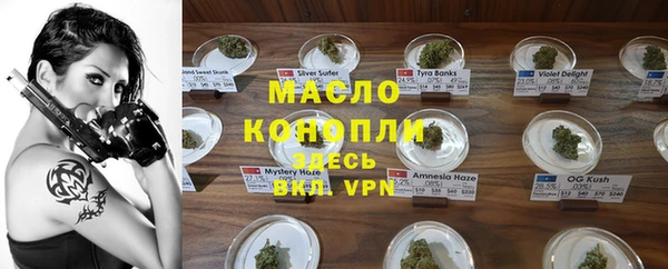 гидра Абаза