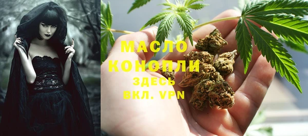 гидра Абаза