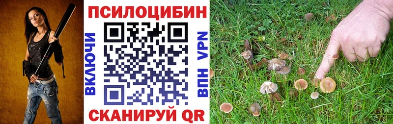 Галлюциногенные грибы прущие грибы  Нерчинск 